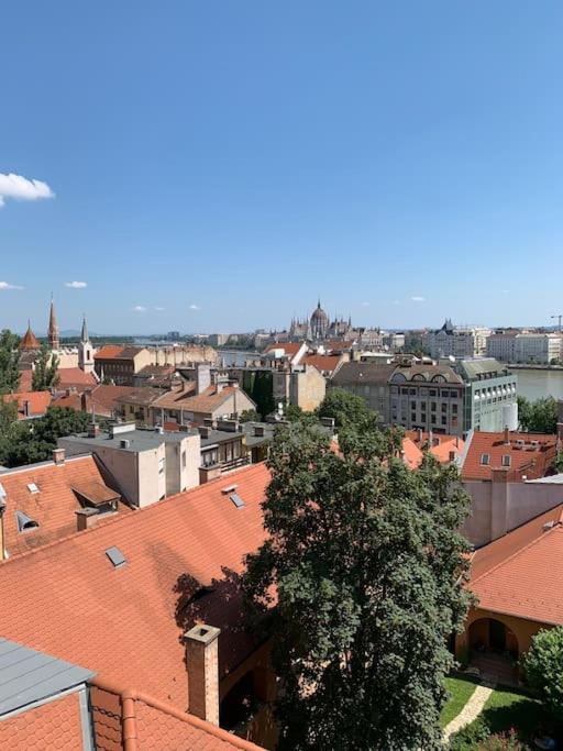 Apartment Classy Flat Next To Castle & View On Parliament *